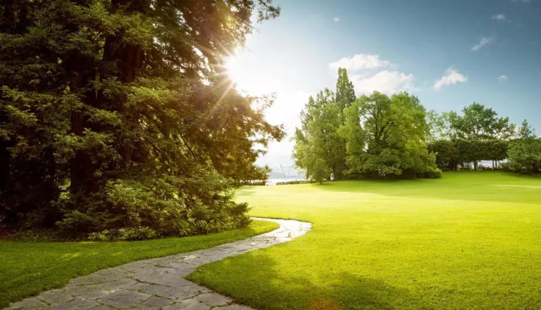 well manicured park lawn with a winding stone path and trees lining the edges