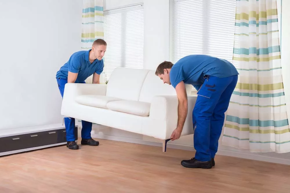 male movers placing sofa on hardwood floor