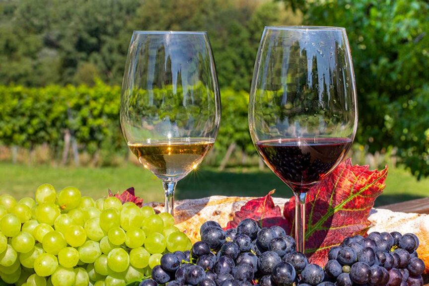 A glass of red wine and a glass of white wine with red and white grapes. 